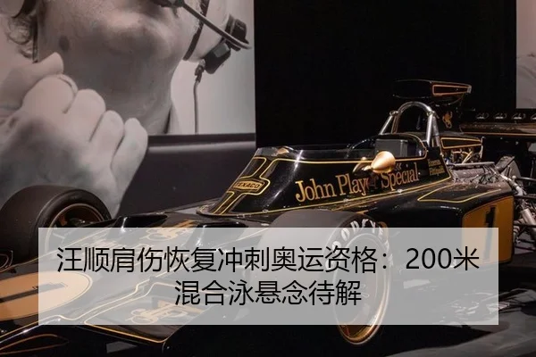 wang-shun-jian-shang-hui-fu-chong-ci-ao-yun-zi-ge-mi-hun-he-yong-xuan-nian-dai-jie-2-992.jpg