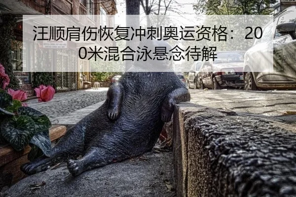 汪顺肩伤恢复冲刺奥运资格：200米混合泳悬念待解
